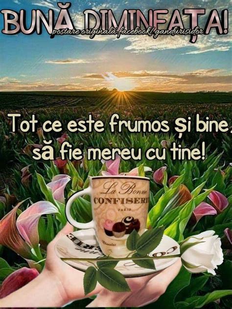 Pin Di Nimic Fara Dumnezeu Su Citate Frumoase Buongiorno Immagini