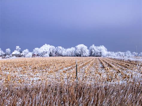 Howard County Nebraska Farm Land For Sale 317 Total A