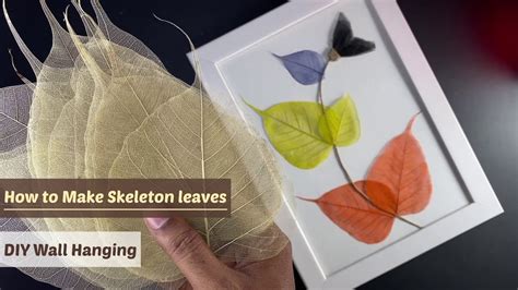 How To Make Skeleton Leaves DIY Wall Decor Handmade Gifts Diy