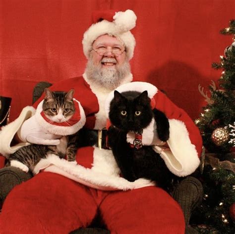 Meowy Xmas With Santa Paws R Blackcats