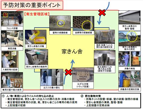 鳥インフルエンザに関する情報：農林水産省