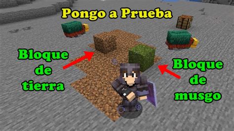 Cuanto Tarda En Nacer Un Sniffer Minecraft 1 20 Pongamoslo A Prueba