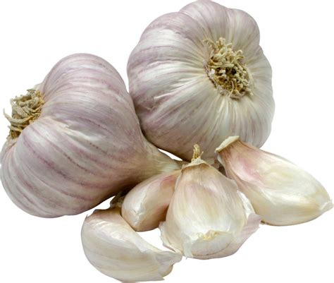 Garlic Transparent