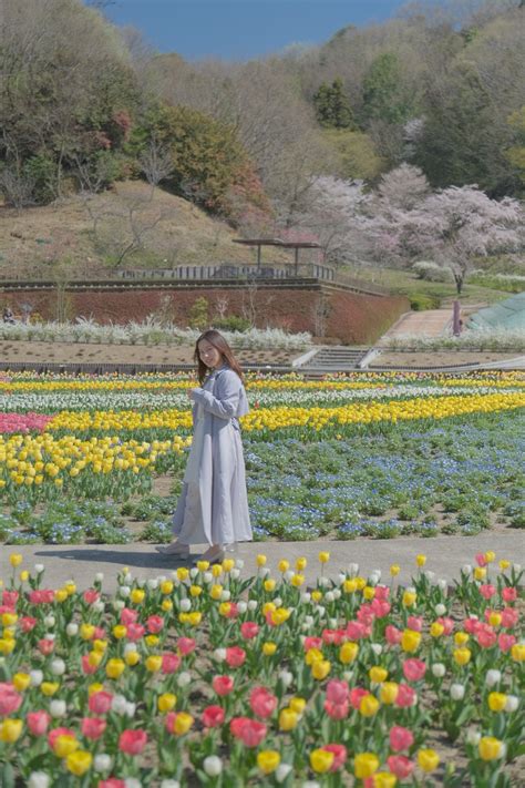 たかたかphoto 427～30 リアルポートレートs出展 On Twitter モデル：nana ぎふワールド・ローズガーデン