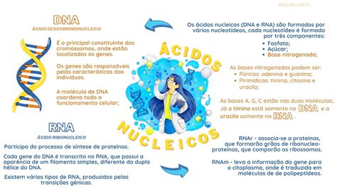 Mapa Mental Sobre Os Acidos Nucleicos Baixe Gratis Em Pdf Dna E Images