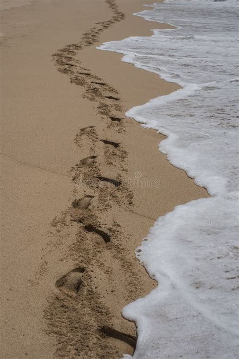 Trilha De Pegadas Humanas Na Duna De Areia Ondulada Imagem De Stock