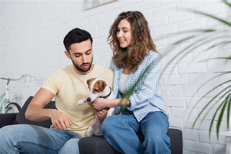 Cheerful Interracial Couple Cuddling Jack Russell Stock Image Image