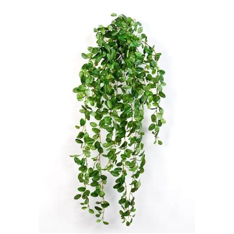 Plante Artificielle Fittonia 700 Feuilles Vert Blanc 85 Cm Plante