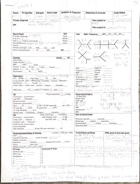 Nursing Process Worksheets Nurs 498L Studocu