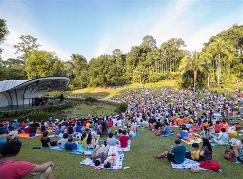 concert   park honeykids asia