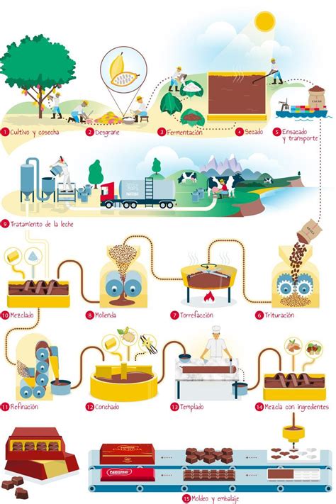 Proceso De Elaboracion Del Chocolate Ayuda Porfa Brainly Lat