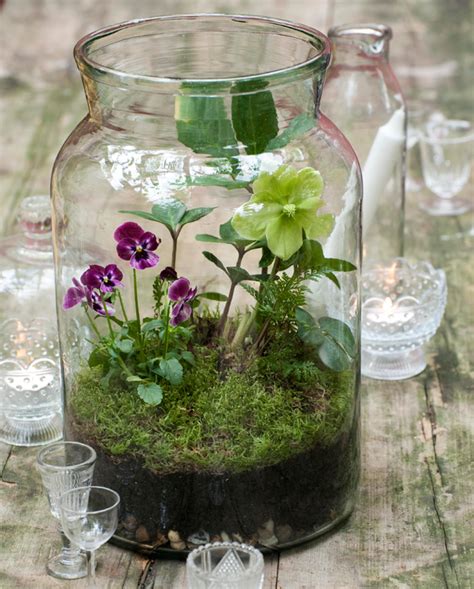 DIY: Glass Jar Terrarium