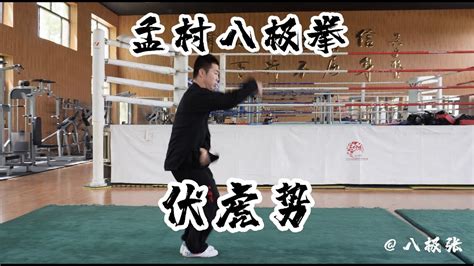 Tiger Style【martial Artskung Fu】baji Quan Tutorial Session 2 Single