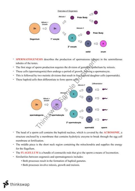 Biology: Reproduction | Year 12 QCE - Biology | Thinkswap