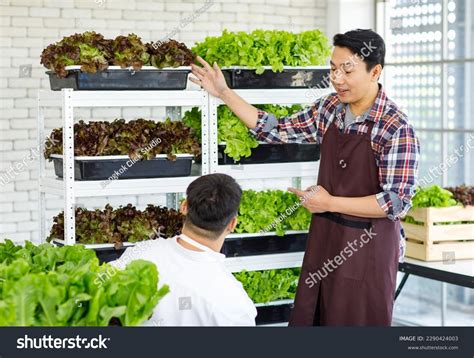 Asian Professional Successful Male Farmer Gardener Stock Photo