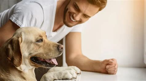 3 Mitos Sobre La Crianza Y El Cuidado De Tus Mascotas Tienes Que