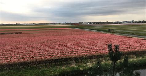 Trade mission to Netherlands a success – AgriNews