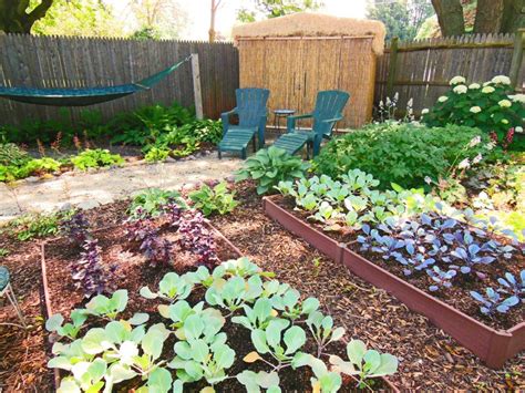 Shaded Vegetable Garden Ideas For This Year Sharonsable