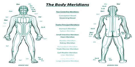 Meridian Charts Dr Rosey Traditional Chinese Medicine