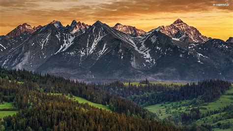 Góry Kasprowy Wierch Tatry Polska Lasy