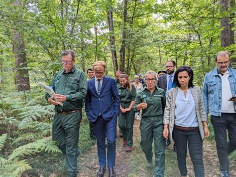 Marc Fesneau Le Ministre De LAgriculture Garantit Aux Forestiers Des