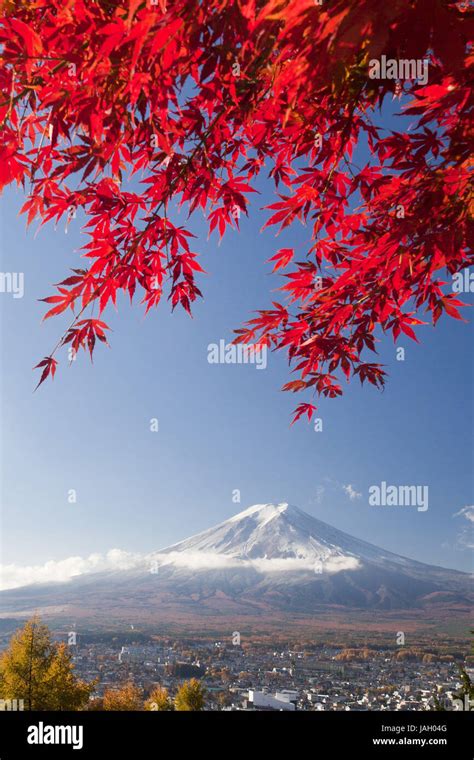 Japanmount Fujijapanese Mapleleavesautumn Stock Photo Alamy