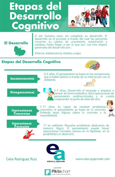 Infografía Etapas Del Desarrollo Cognitivo