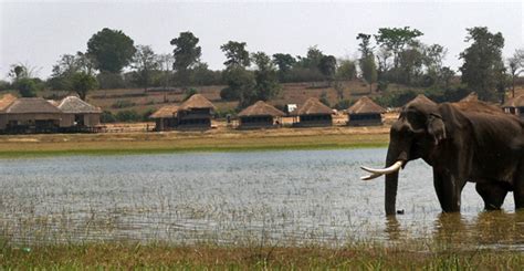 The Bison Kabini Resort Nagarahole