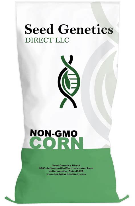 97 Day Conventional Non Gmo Hybrid Seed Corn Direct 8097