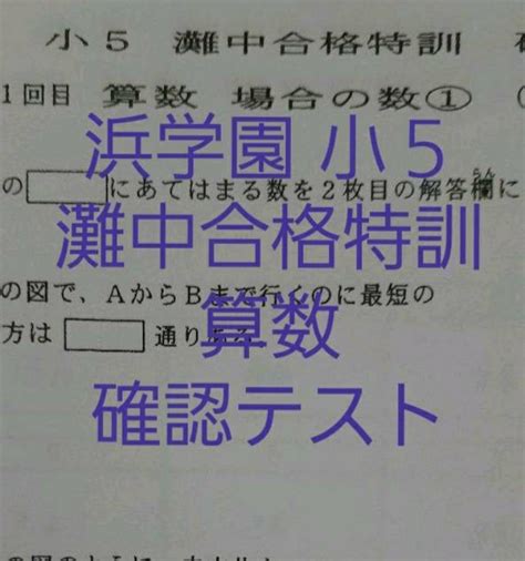 浜学園 小3 マスターコース 最レベ算数 テキスト 復習テスト 公開学力テスト 【値下げ】 28910円引き Swimmainjp