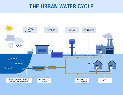 The Urban Water Cycle Stock Illustration - Download Image Now - Sewage ...