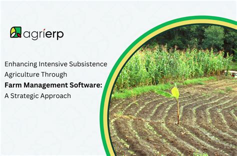 Agrierp Blog