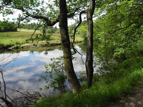 Fotos Gratis Paisaje Rbol Naturaleza Bosque Pantano Desierto