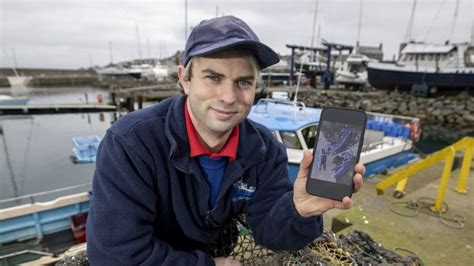 Blue Lobster Catch Of A Lifetime For Belfast Fisherman Twice Bbc