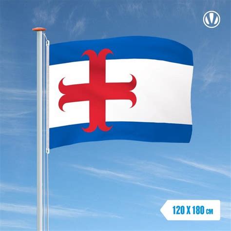 Vlag Zutphen X Cm Bol