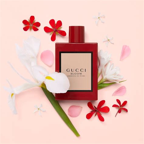 Gucci Bloom Ambrosia Di Fiori Eau De Parfum Intense For Her The Summit