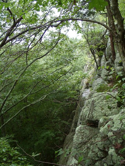 Protected Lands — Tiverton Land Trust