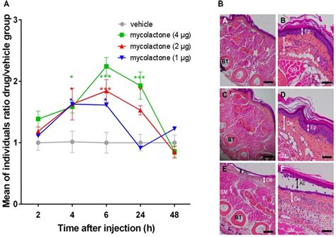 Frontiers Mycolactone As Analgesic Subcutaneous Bioavailability