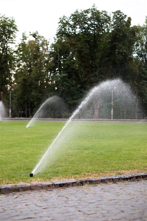 On Green Lawn In A Park Or Garden A Sprinkler Is Working Automatic