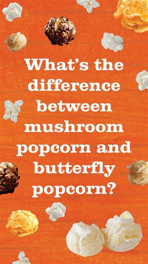 Whats The Difference Between Mushroom Popcorn And Butterfly Popcorn