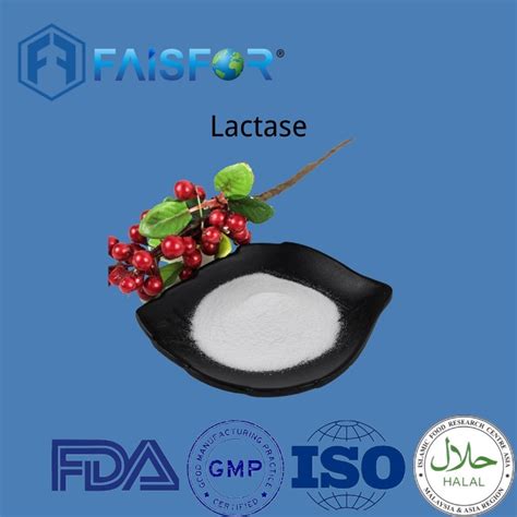 High Quality Food Grade Factory Supply Enzyme Lactase Powder Lactase