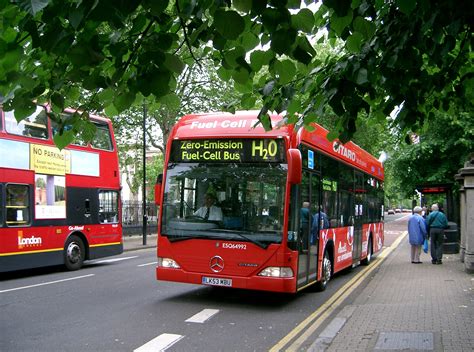 5 ways to make green hydrogen available around the world | World