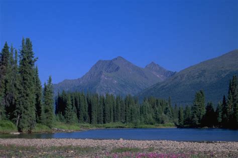 Stikine River Canoeing | Nahanni River Adventures