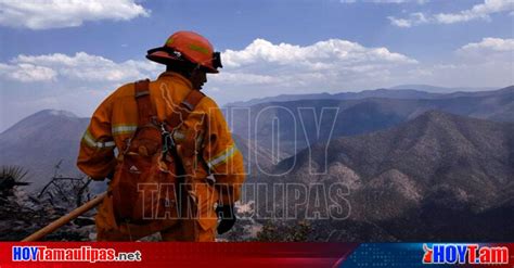 Hoy Tamaulipas Monterrey Controlan Al 100 Incendio Forestal En Limites De Nuevo Leon Y Coahuila