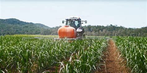 Case Study Mackay Area Productivity Services Nutrient Management