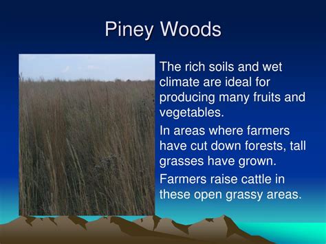 Ppt The Gulf Coastal Plain Region Powerpoint Presentation Free Download Id3037064