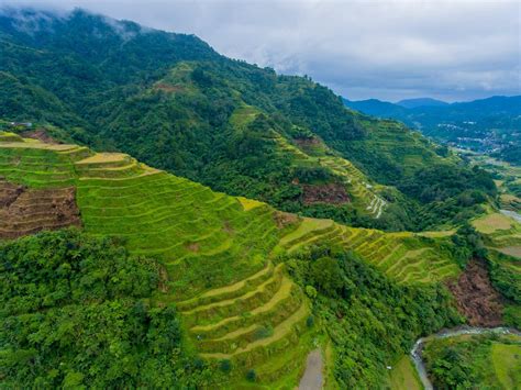 Banaue Banaue Rice Terraces Photo Review Location