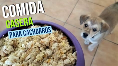 Mejor comida para cachorros Guía completa Actualizado noviembre 2024