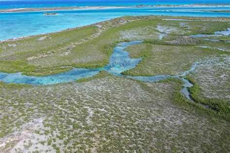 5 Environmental Friendly Activities of a Turks and Caicos Excursion