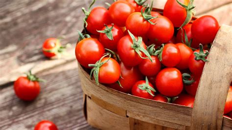 How To Grow Juicy Tomatoes In 5 Gallon Buckets